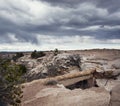 Petrified Forest National Park, Arizona, USA ,Agate Bridge Royalty Free Stock Photo