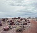 Petrified Forest National Park, Arizona, USA Royalty Free Stock Photo