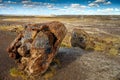 Petrified Forest National Park, Arizona, USA Royalty Free Stock Photo