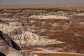 Petrified Forest National Park, Arizona USA Royalty Free Stock Photo