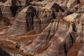 Petrified Forest National Park, Arizona USA Royalty Free Stock Photo