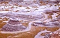 Petrified Forest National Park Badlands Royalty Free Stock Photo