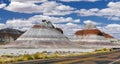 Petrified Forest National Park Royalty Free Stock Photo