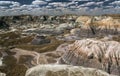 Petrified Forest National Park Royalty Free Stock Photo