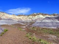 Petrified Forest National Park landscape, Arizona, USA Royalty Free Stock Photo