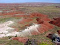 Petrified Forest National Park landscape, Arizona, USA Royalty Free Stock Photo