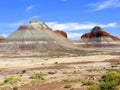 Petrified Forest National Park landscape, Arizona, USA Royalty Free Stock Photo