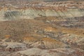 Petrified Forest National Park Royalty Free Stock Photo