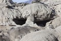 Petrified forest Argentina Royalty Free Stock Photo