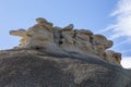 Petrified forest Argentina Royalty Free Stock Photo