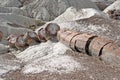 Petrified Forest NP, Arizona