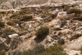 Petrified Forest Patagonia Argentina Royalty Free Stock Photo