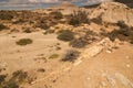 Petrified Forest Patagonia Argentina Royalty Free Stock Photo