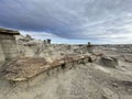 Petrified logs - Badlands - Bisti De-Na-Zin Wilderness Area - New Mexico Royalty Free Stock Photo