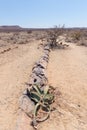 Petrified and mineralized tree trunk in the famous Petrified Forest National Park at Khorixas, Namibia, Africa. 280 million years Royalty Free Stock Photo