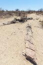 Petrified and mineralized tree trunk in the famous Petrified Forest National Park at Khorixas, Namibia, Africa. 280 million years Royalty Free Stock Photo