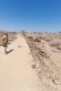 Petrified and mineralized tree trunk. Tourist in the famous Petrified Forest National Park at Khorixas, Namibia, Africa. 280 milli Royalty Free Stock Photo