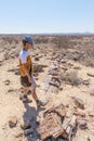 Petrified and mineralized tree trunk. Tourist in the famous Petrified Forest National Park at Khorixas, Namibia, Africa. 280 milli Royalty Free Stock Photo