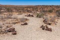 Petrified and mineralized tree trunks, Khorixas, Damaraland, Namibia Royalty Free Stock Photo