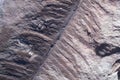 Petrified prehistorical fronds of fern imprint on the stone with plants