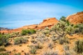 White Navajo Sandstones in Snow Canyon State Park, Utah