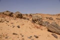 Petrified trees in Sudan Royalty Free Stock Photo