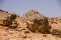 Petrified trees in Sudan Royalty Free Stock Photo