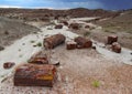 Petrified wood along the Crystal Forest hiking trail in Petrified Forest National Park, Arizona, USA Royalty Free Stock Photo