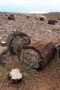 Petrified wood along Crystal Forest hiking trail in Petrified Forest National Park, Arizona, USA Royalty Free Stock Photo