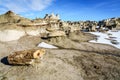 Petrified wood at Bisti Badlands