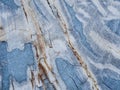 Petrified Wood with Blue Hue