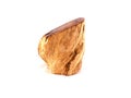 Petrified Wood Royalty Free Stock Photo