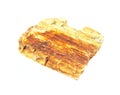 Petrified Wood Royalty Free Stock Photo