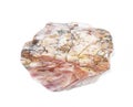 Petrified Wood Royalty Free Stock Photo