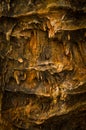 Petrified wood detail Royalty Free Stock Photo