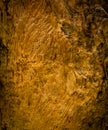 Petrified wood detail Royalty Free Stock Photo