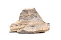 Petrified wood on isolated background Royalty Free Stock Photo