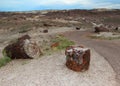 Petrified wood along the paved Crystal Forest hiking trail in Petrified Forest National Park, Arizona, USA Royalty Free Stock Photo