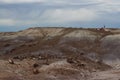 Petrified wood logs scattered across landscape, Petrified Forest National Park, Arizona, USA Royalty Free Stock Photo