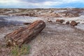 Petrified wood logs scattered across landscape, Petrified Forest National Park, Arizona, USA Royalty Free Stock Photo