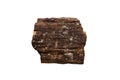 Petrified wood fossil isolated on white background. Royalty Free Stock Photo