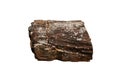 Petrified wood fossil isolated on white background. Royalty Free Stock Photo