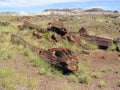 Petrified Wood at Petrified Forest National Park, Arizona, USA Royalty Free Stock Photo