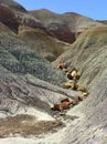 Petrified Wood at Petrified Forest National Park, Arizona, USA Royalty Free Stock Photo