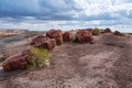 Petrified wood pieces are cast atop a hillside at the Petrified Forest National park