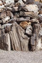 Petrified Wood Pile Royalty Free Stock Photo
