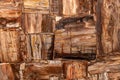 Petrified wood texture. Semi precious matt pattern. Exclusive luxury gemstone background. Material for unique interior