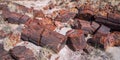 Petrified Wood Royalty Free Stock Photo