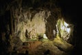 Petrifying fountain of Saint-Nectaire or the art of limestone depositing by water