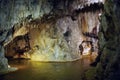 Petrifying fountain of Saint-Nectaire or the art of limestone depositing by water